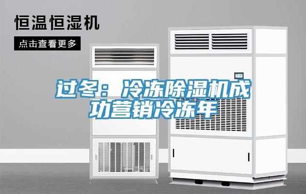 過冬:冷凍除濕機成功營銷冷凍年