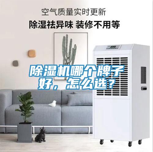 除濕機哪個牌子好,怎么選?