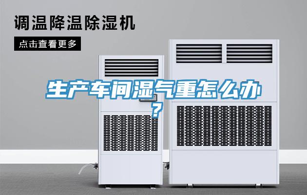生產車間濕氣重怎么辦?