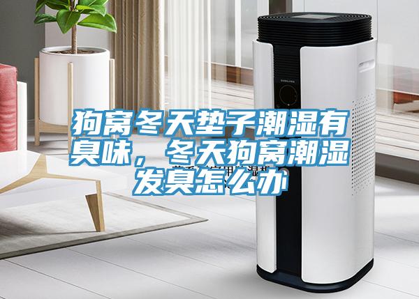 狗窩冬天墊子潮濕有臭味，冬天狗窩潮濕發臭怎么辦