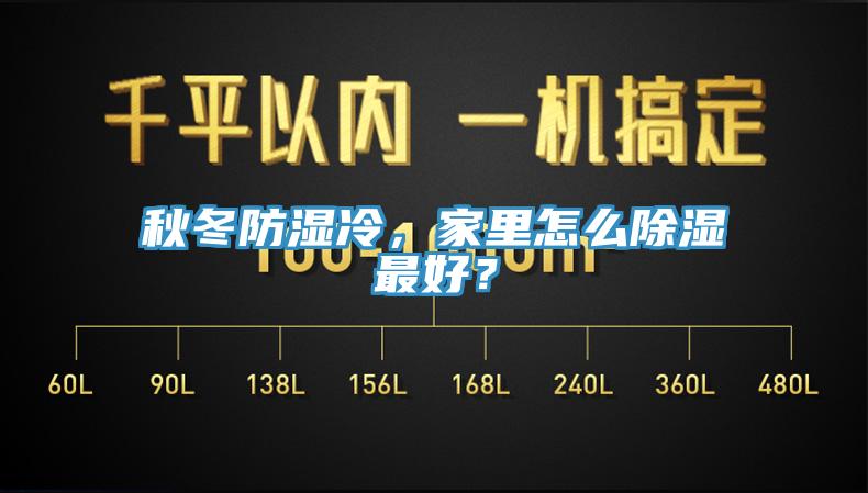 秋冬防濕冷，家里怎么除濕最好？