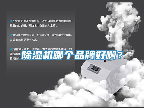 除濕機哪個品牌好啊?