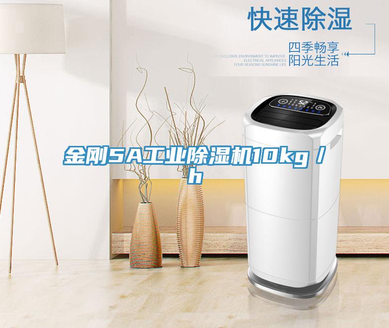 金剛5A工業(yè)除濕機10kg/h