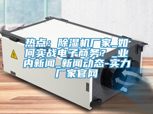 熱點(diǎn)：除濕機(jī)廠家_如何實(shí)戰(zhàn)電子商務(wù)？_業(yè)內(nèi)新聞_新聞動(dòng)態(tài)-實(shí)力廠家官網(wǎng)
