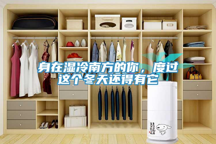 身在濕冷南方的你,度過這個冬天還得有它
