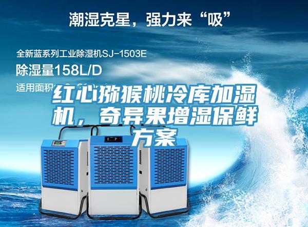紅心獼猴桃冷庫加濕機(jī),奇異果增濕保鮮方案