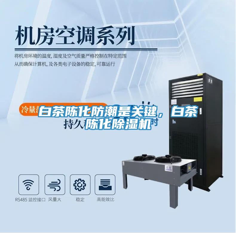 白茶陳化防潮是關(guān)鍵，白茶陳化除濕機