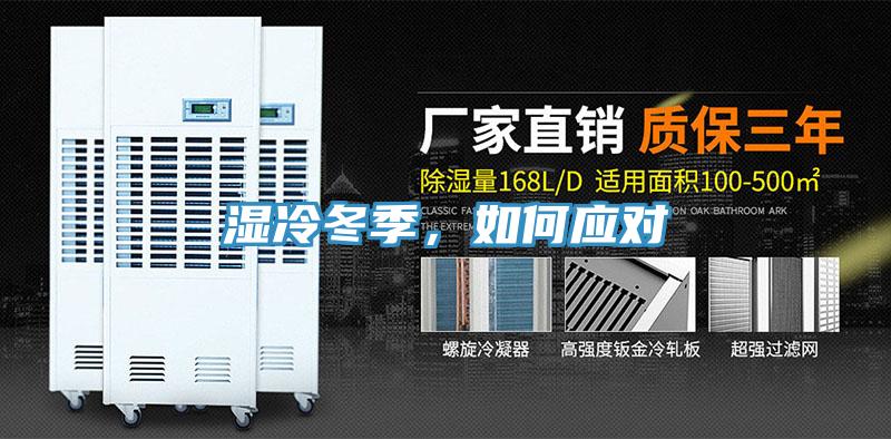 濕冷冬季,如何應對