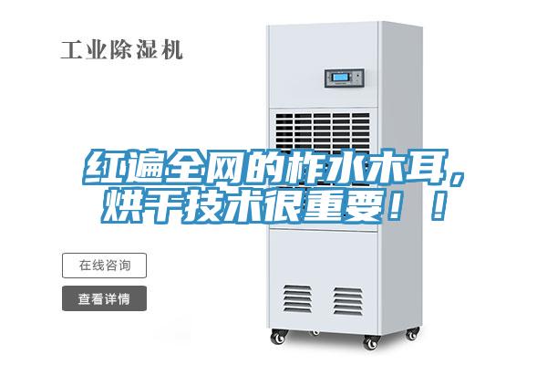 紅遍全網(wǎng)的柞水木耳，烘干技術很重要??！