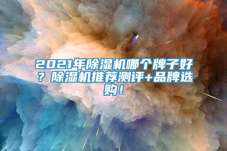 2021年除濕機哪個牌子好？除濕機推薦測評+品牌選購！
