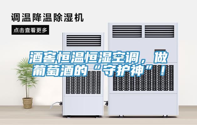 酒窖恒溫恒濕空調(diào),做葡萄酒的“守護神”!