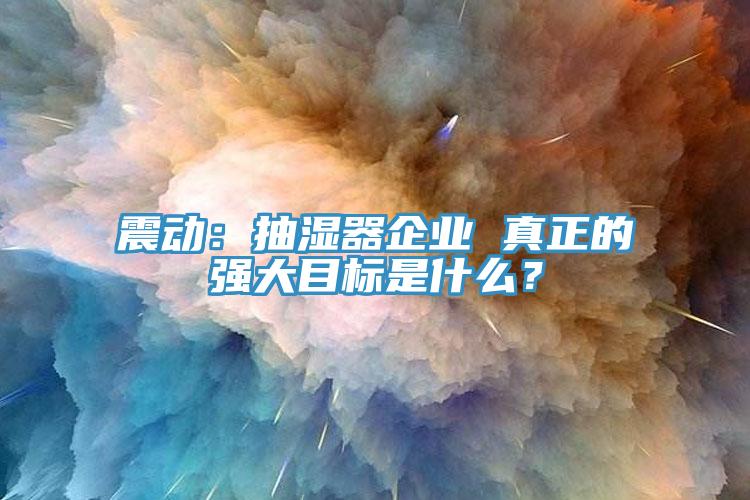 震動：抽濕器企業(yè) 真正的強大目標(biāo)是什么？