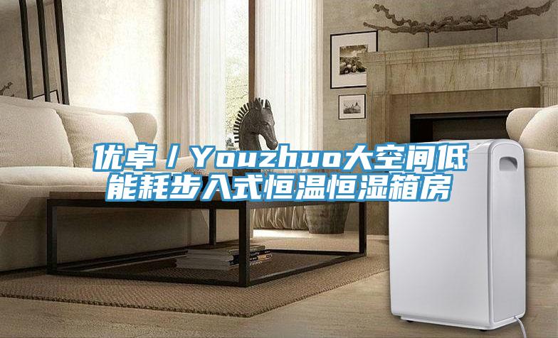 優(yōu)卓/Youzhuo大空間低能耗步入式恒溫恒濕箱房