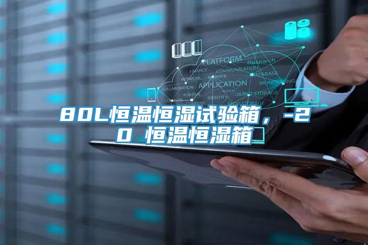 80L恒溫恒濕試驗(yàn)箱,-20℃恒溫恒濕箱