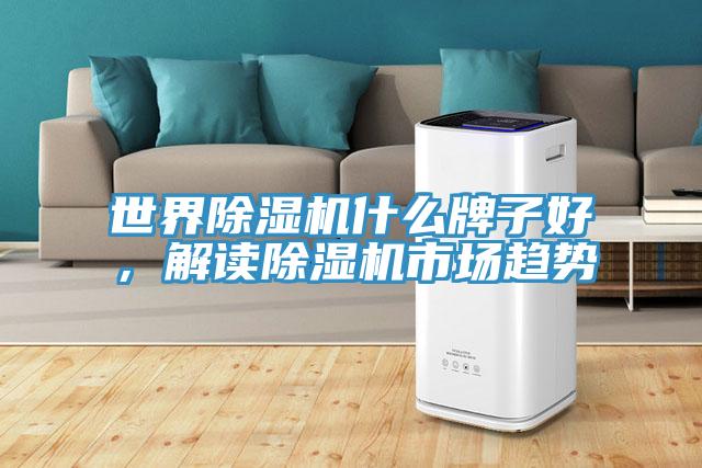 世界除濕機什么牌子好，解讀除濕機市場趨勢
