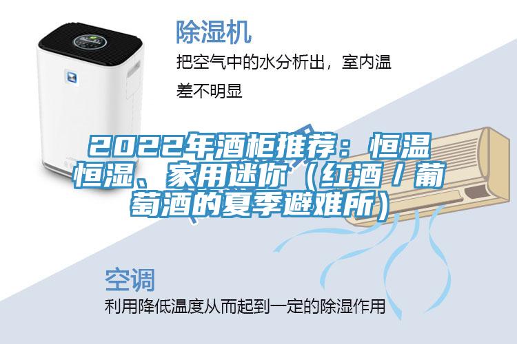 2022年酒柜推薦:恒溫恒濕、家用迷你(紅酒/葡萄酒的夏季避難所)