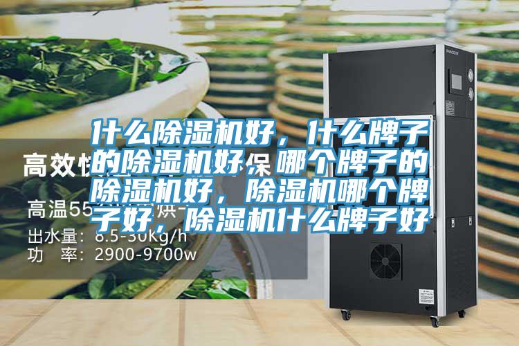 什么除濕機好,什么牌子的除濕機好,哪個牌子的除濕機好,除濕機哪個牌子好,除濕機什么牌子好