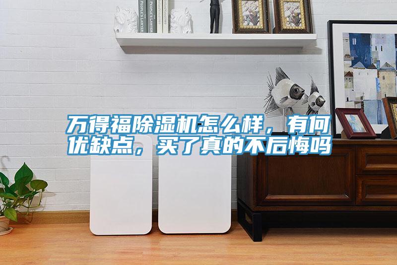 萬得福除濕機怎么樣，有何優(yōu)缺點，買了真的不后悔嗎