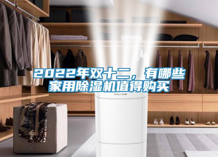 2022年雙十二,有哪些家用除濕機值得購買