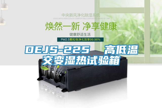 DEJS-225 高低溫交變濕熱試驗箱