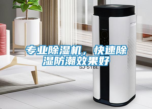 專業除濕機，快速除濕防潮效果好
