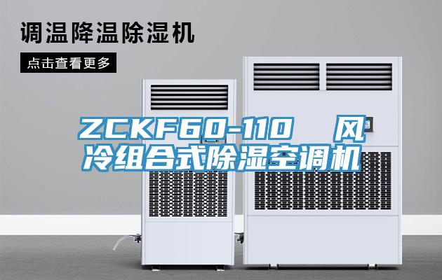 ZCKF60-110 風(fēng)冷組合式除濕空調(diào)機