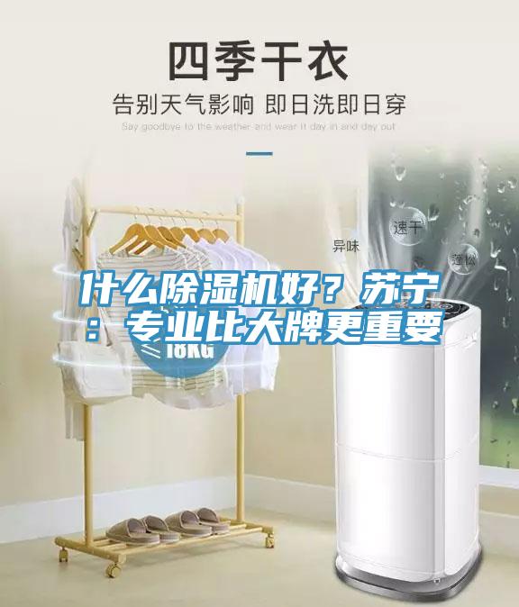 什么除濕機好?蘇寧:專業比大牌更重要