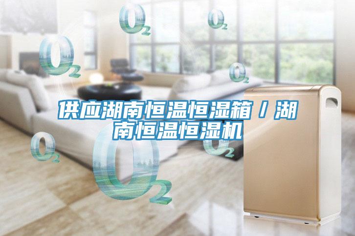 供應湖南恒溫恒濕箱/湖南恒溫恒濕機