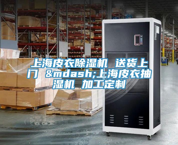 上海皮衣除濕機 送貨上門 &mdash;上海皮衣抽濕機 加工定制