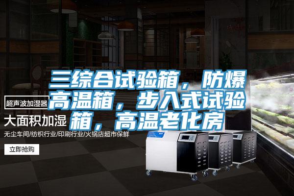 三綜合試驗箱，防爆高溫箱，步入式試驗箱，高溫老化房