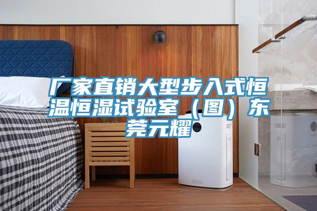 廠家直銷大型步入式恒溫恒濕試驗室(圖)東莞元耀
