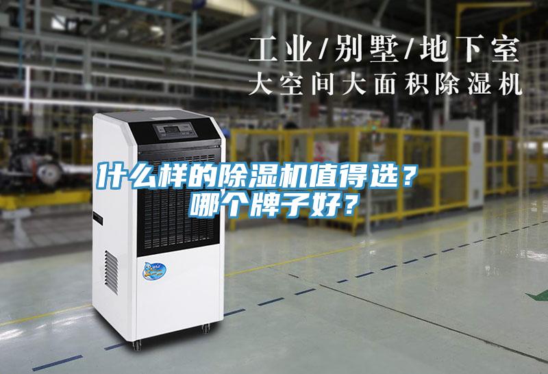 什么樣的除濕機值得選？ 哪個牌子好？