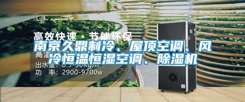 南京久鼎制冷、屋頂空調、風冷恒溫恒濕空調、除濕機