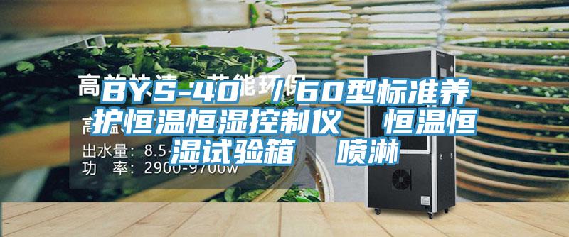 BYS-40 /60型標(biāo)準(zhǔn)養(yǎng)護恒溫恒濕控制儀 恒溫恒濕試驗箱 噴淋