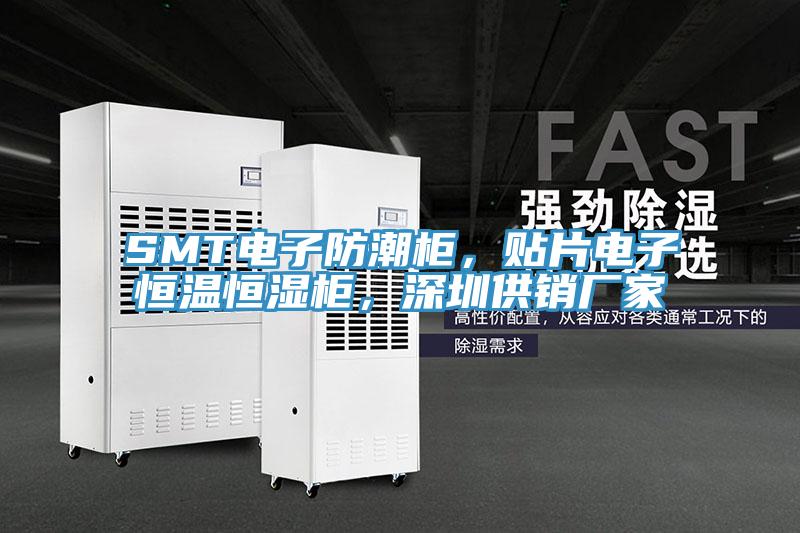 SMT電子防潮柜，貼片電子恒溫恒濕柜，深圳供銷廠家