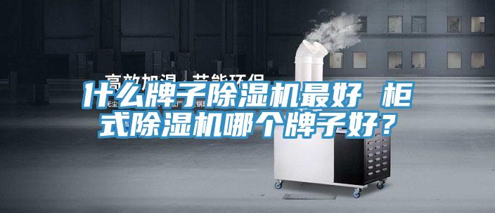 什么牌子除濕機最好 柜式除濕機哪個牌子好?