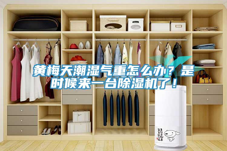黃梅天潮濕氣重怎么辦？是時(shí)候來(lái)一臺(tái)除濕機(jī)了！