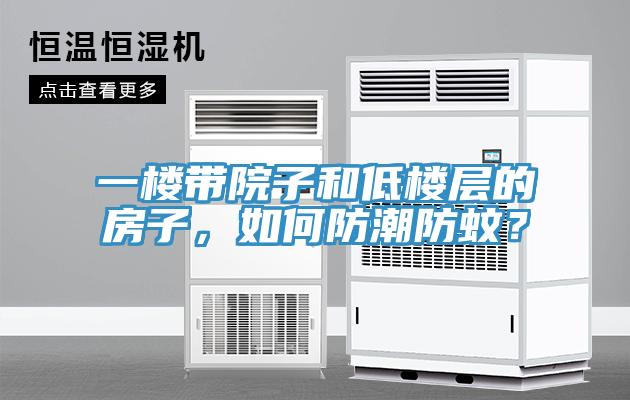 一樓帶院子和低樓層的房子，如何防潮防蚊？