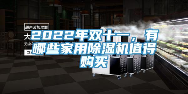 2022年雙十一,有哪些家用除濕機值得購買
