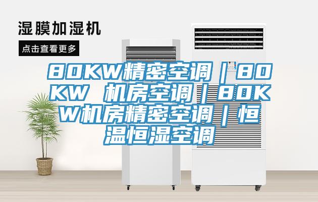 80KW精密空調(diào)|80KW 機(jī)房空調(diào)|80KW機(jī)房精密空調(diào)|恒溫恒濕空調(diào)