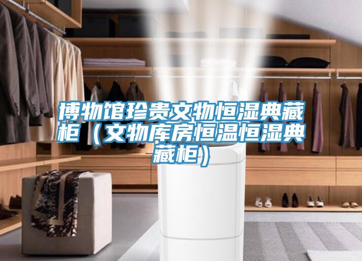 博物館珍貴文物恒濕典藏柜(文物庫房恒溫恒濕典藏柜)