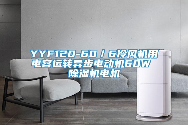YYF120-60/6冷風(fēng)機用電容運轉(zhuǎn)異步電動機60W 除濕機電機