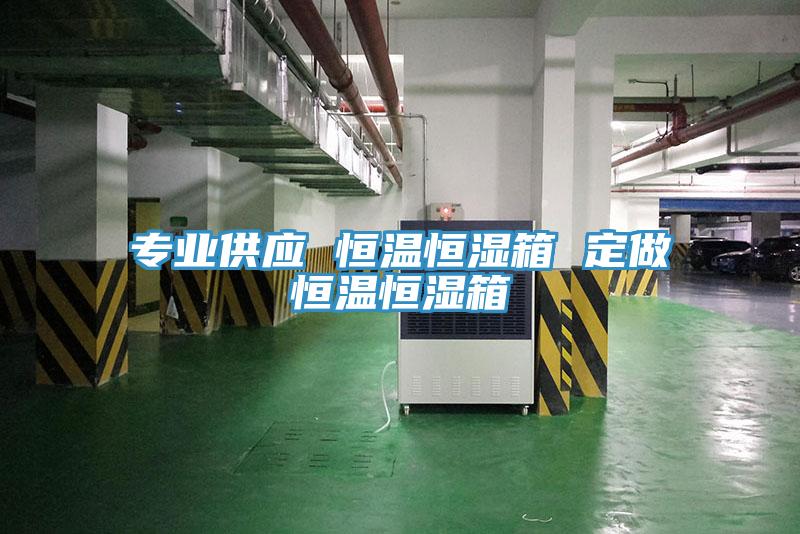 專業供應 恒溫恒濕箱 定做恒溫恒濕箱