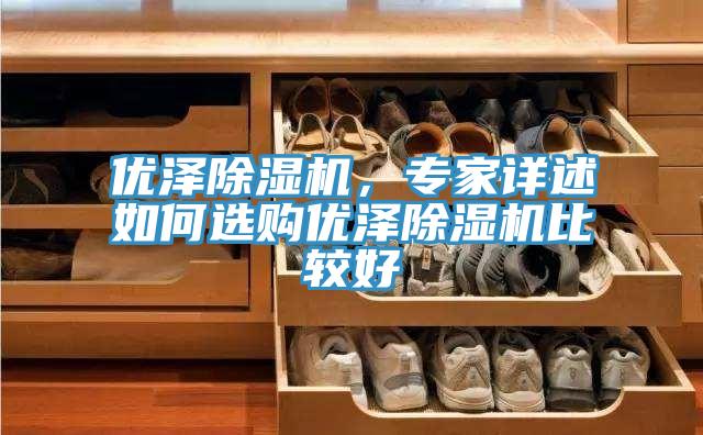 優(yōu)澤除濕機,專家詳述如何選購優(yōu)澤除濕機比較好