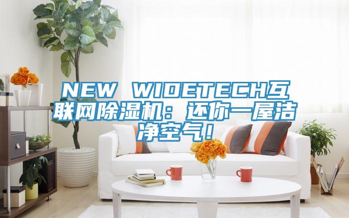 NEW WIDETECH互聯(lián)網(wǎng)除濕機(jī):還你一屋潔凈空氣!