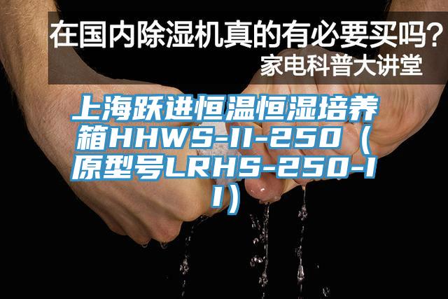 上海躍進恒溫恒濕培養箱HHWS-II-250(原型號LRHS-250-II)