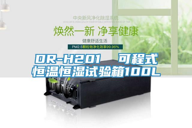 DR-H201 可程式恒溫恒濕試驗箱100L