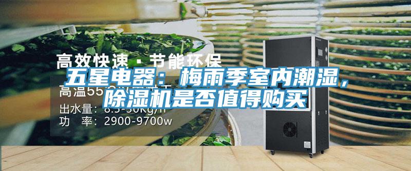 五星電器:梅雨季室內(nèi)潮濕,除濕機(jī)是否值得購買