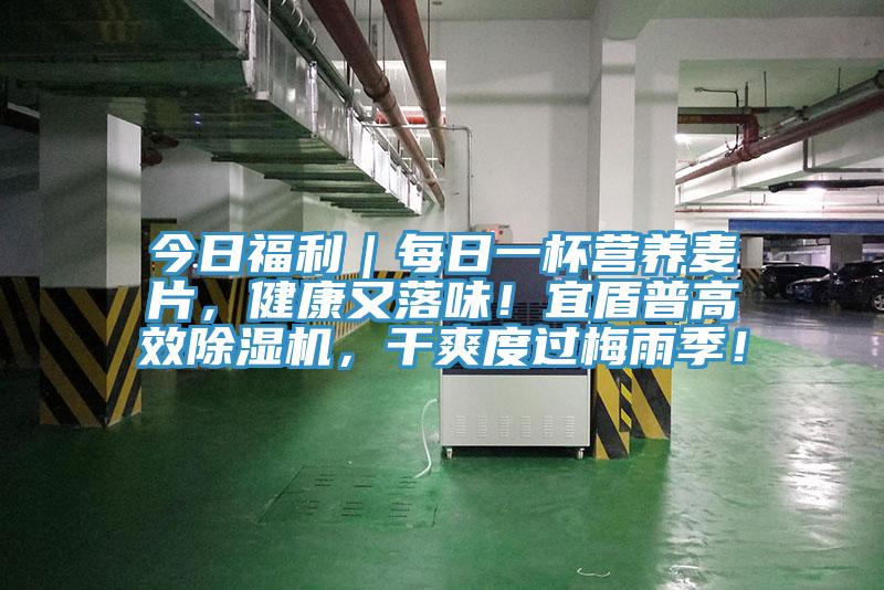 今日福利|每日一杯營養麥片,健康又落味!宜盾普高效除濕機,干爽度過梅雨季!