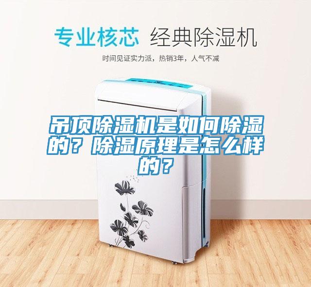 吊頂除濕機是如何除濕的？除濕原理是怎么樣的？